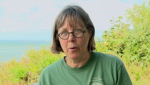 A Field Guide to Bacteria by Betsey Dexter Dyer | Paperback