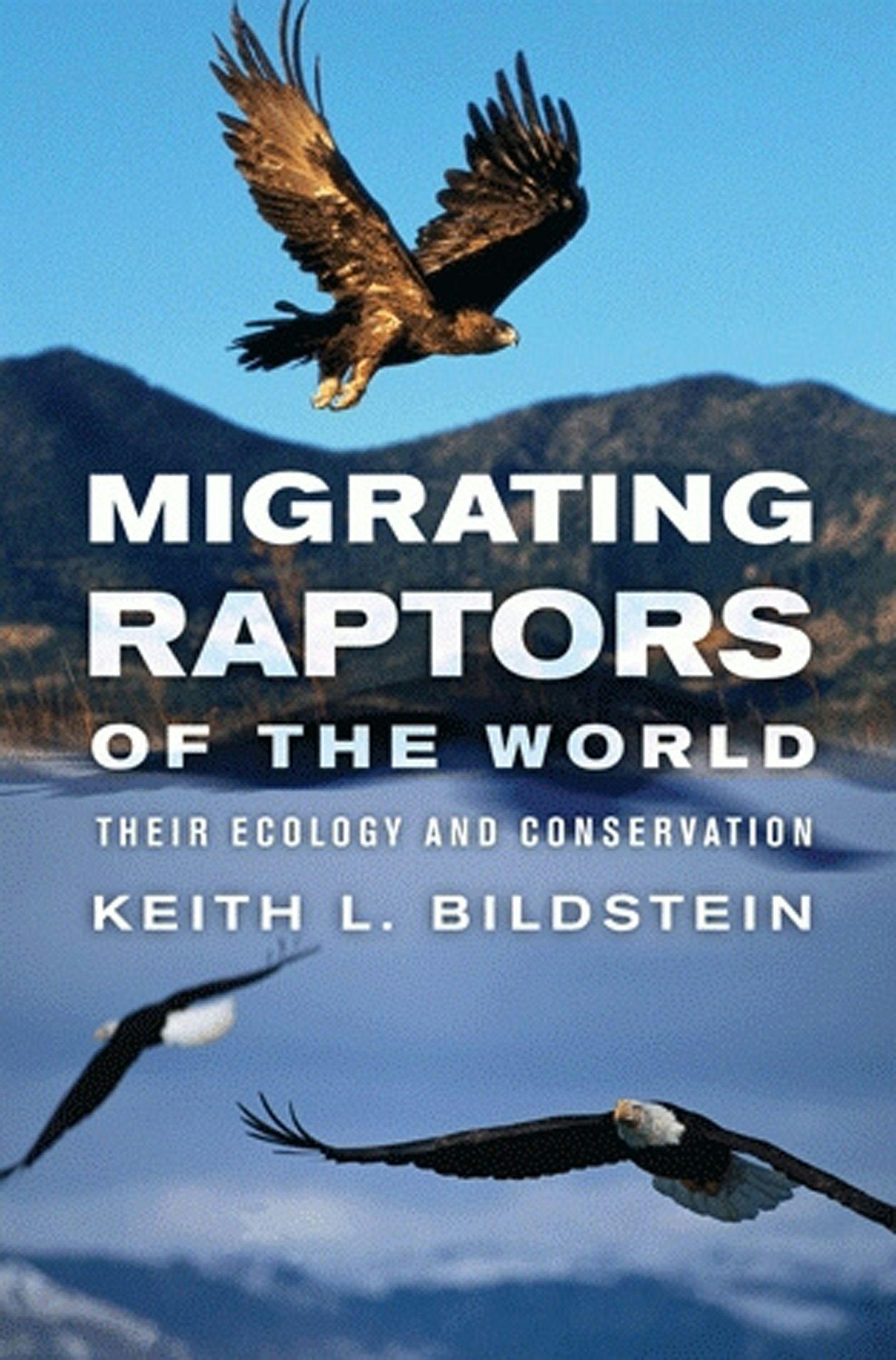 Migrating Raptors of the World by Keith L. Bildstein | Hardcover