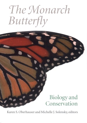 Butterflies – News, Research and Analysis – The Conversation – page 1
