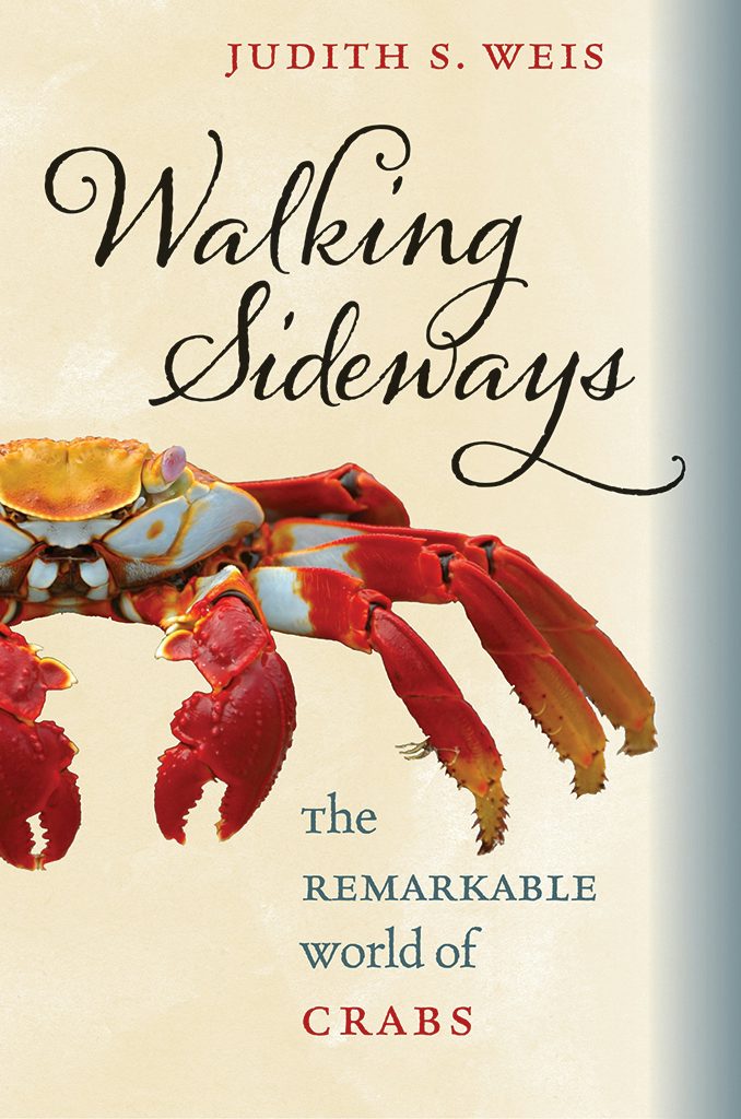 Walking Sideways by Judith S. Weis | Hardcover | Cornell