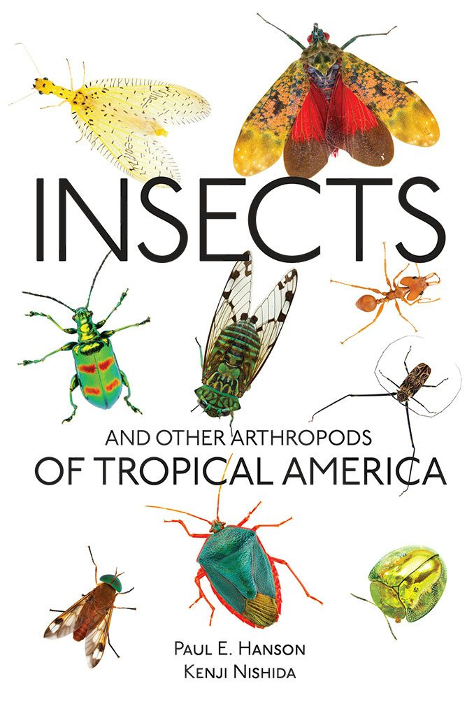 Insects and Other Arthropods of Tropical America by Paul E. Hanson