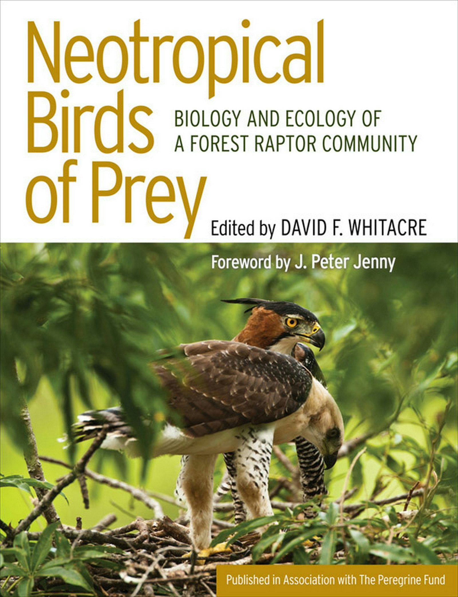 Neotropical Birds of Prey Edited by David Whitacre,Foreword by J