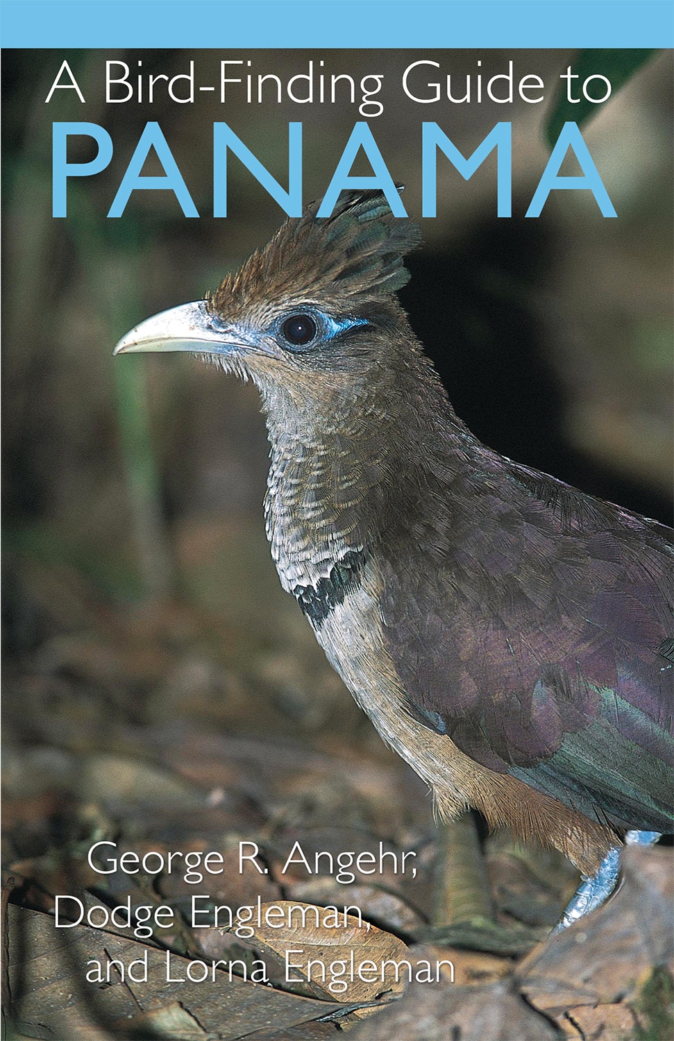 A Bird-Finding Guide to Panama by George Angehr, Dodge Engleman