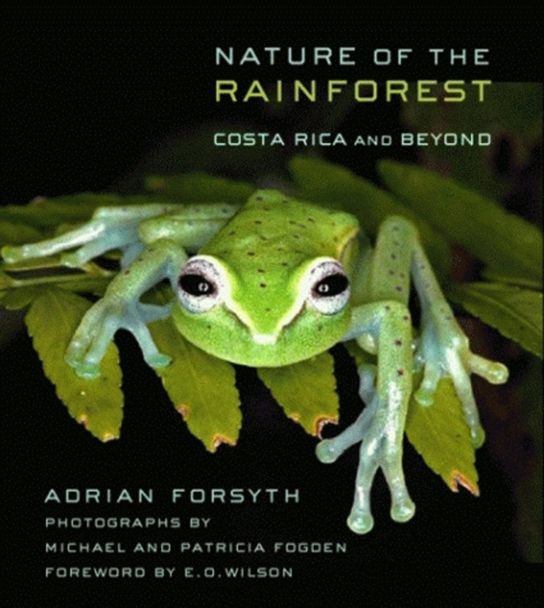 Nature of the Rainforest by Adrian Forsyth,Photographs by Patricia