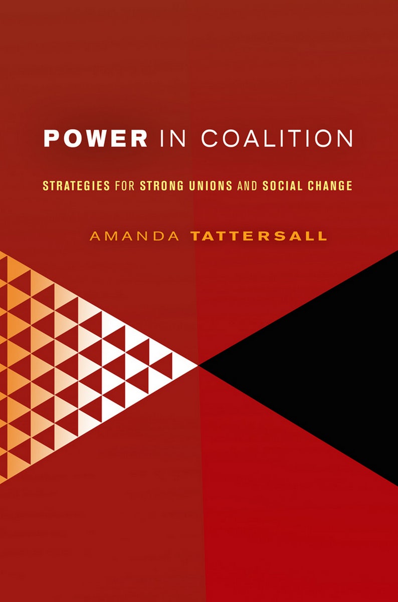 Power in Coalition by Amanda Tattersall | Paperback | Cornell