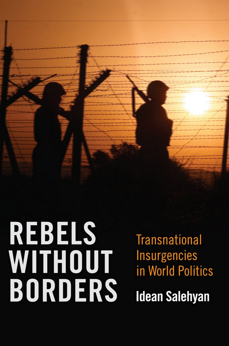Rebels without Borders by Idean Salehyan | Paperback | Cornell University  Press