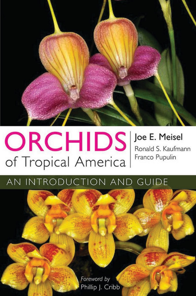 The Orchids / Epicurean レコード Epicurean | The Orchids