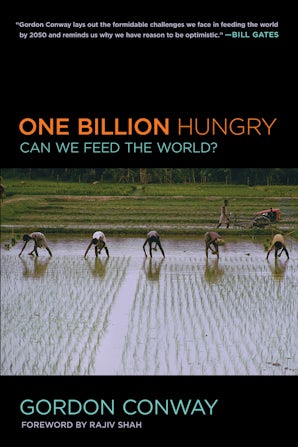 The faim. Благотворительность стоковые фото. Feeding the world. Всемирный день народонаселения. To feed.