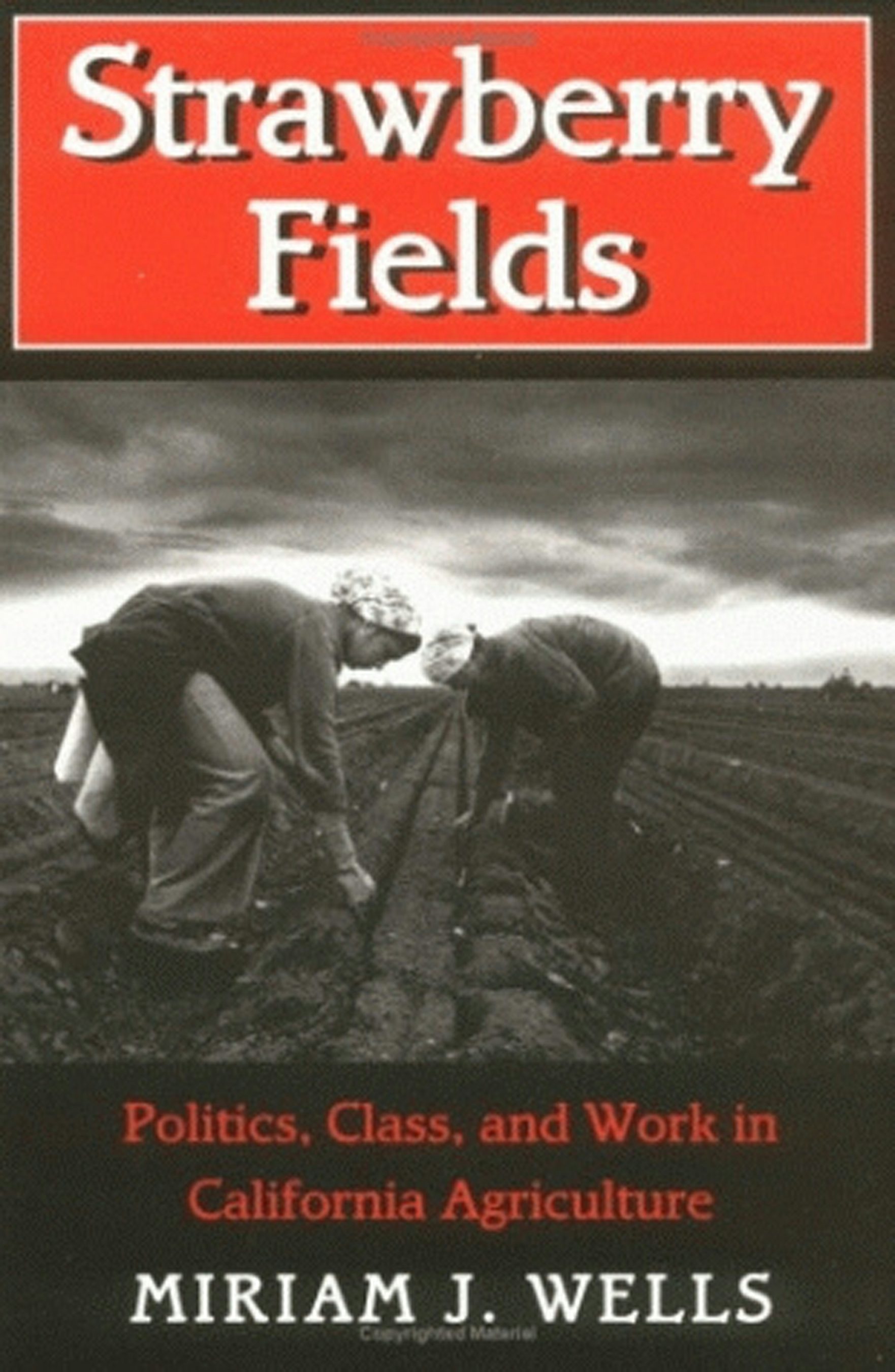 STRAWBERRY FIELDS プロモ盤 「TELEGRAPH BOYS」 Strawberry Fields® Potting Soil - FoxFarm Soil & Fertilizer Company