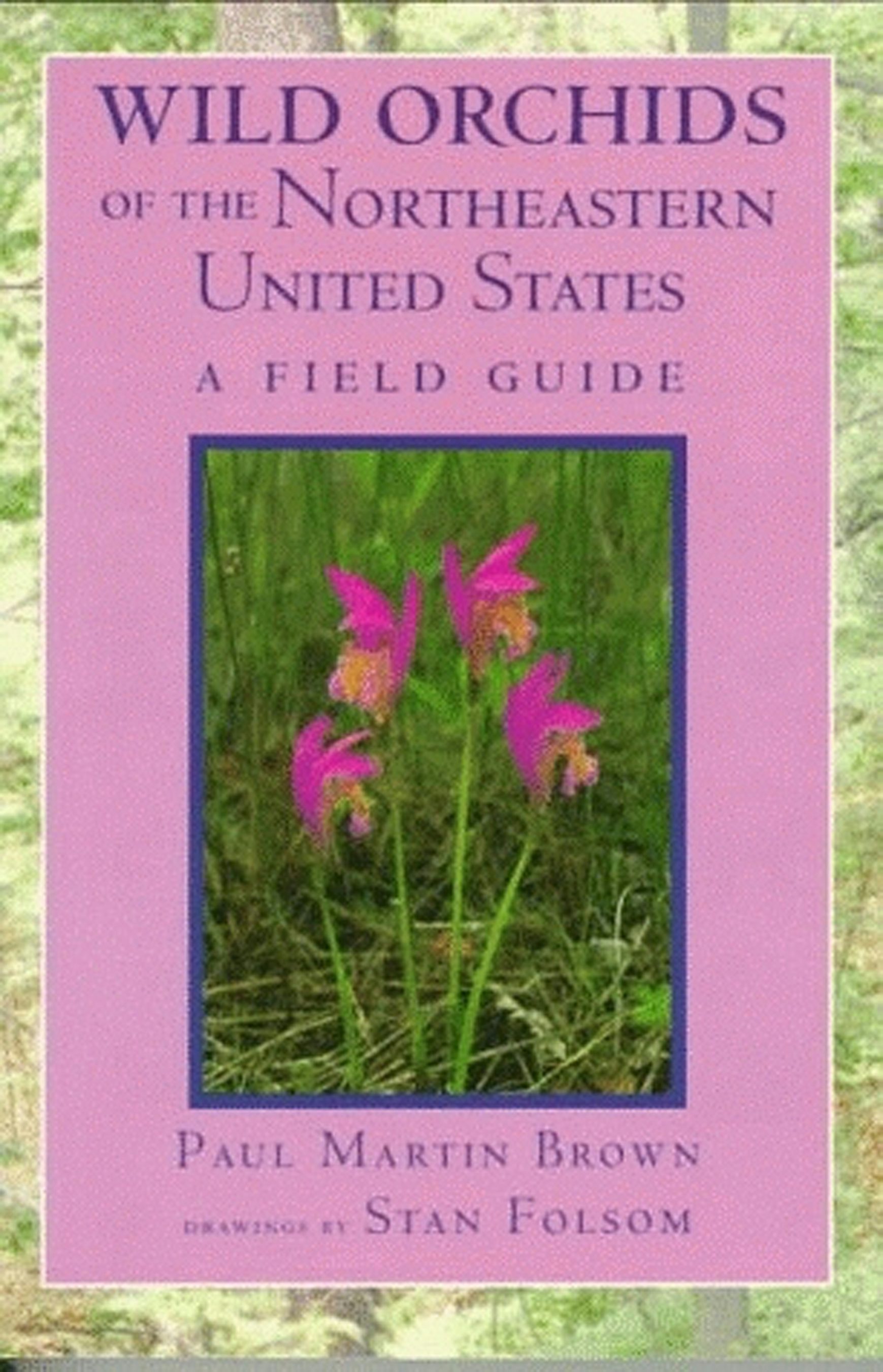 Wild Orchids of the Northeastern United States by Paul Martin