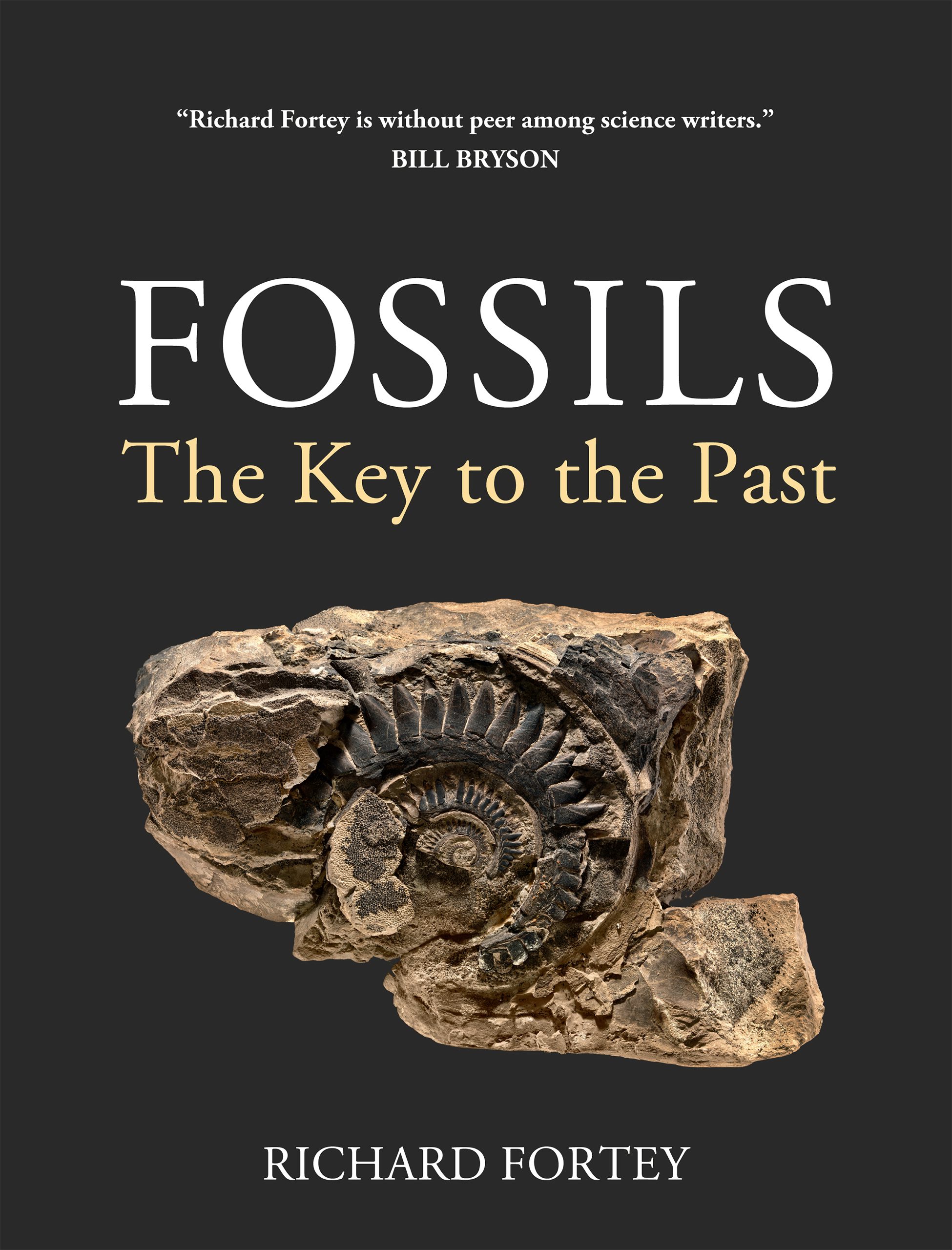 『FOSSIL（フォッシル）』非売品ボブルヘッド 9781501700538.jpg?auto=format&