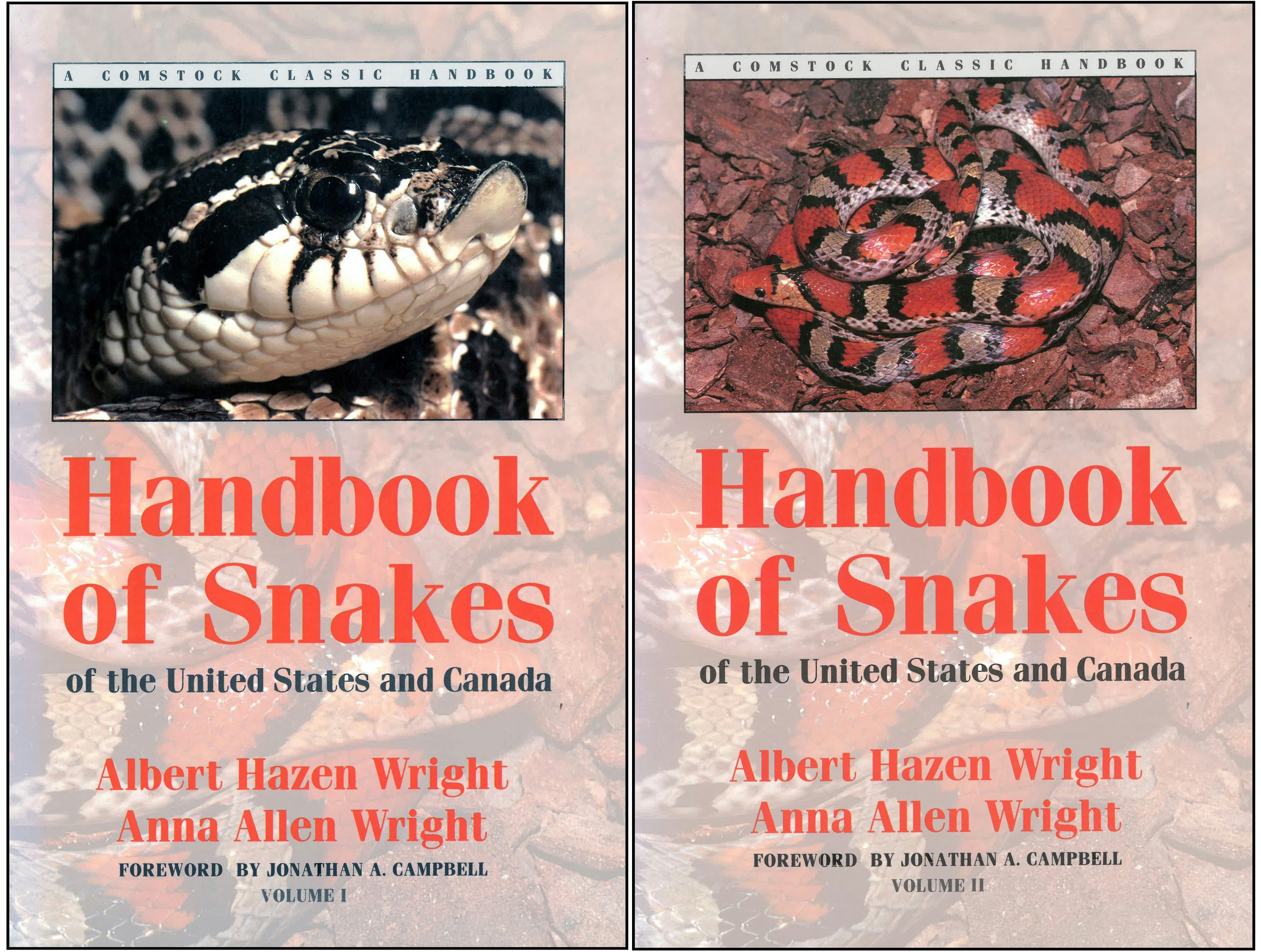 【送料無料】テキサス州のヘビ 爬虫類 ヘビ 毒ヘビ 洋書 学術書 飼育本アメリカ