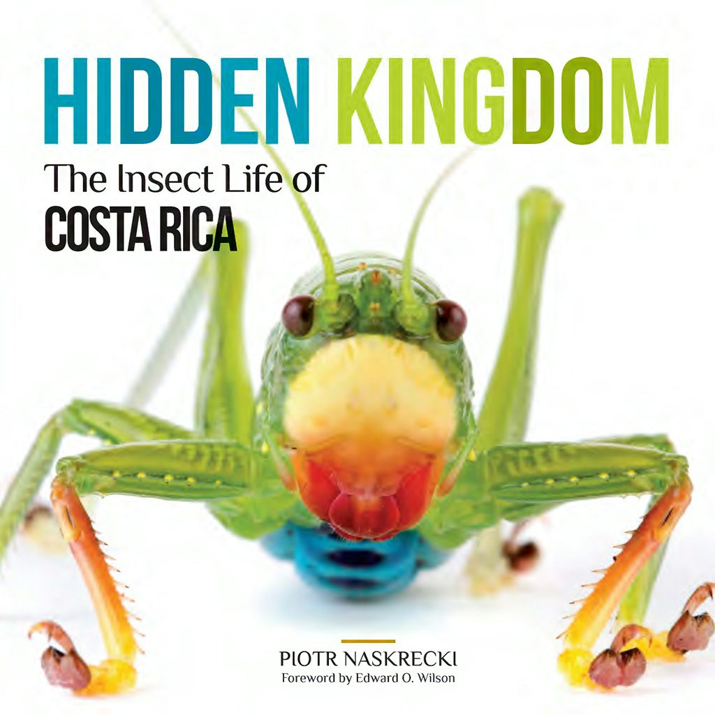 Hidden Kingdom by Piotr Naskrecki,Foreword by Edward O