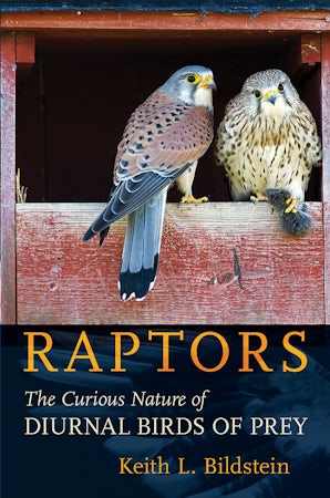 Birds of prey: Meet the Rock City Raptors