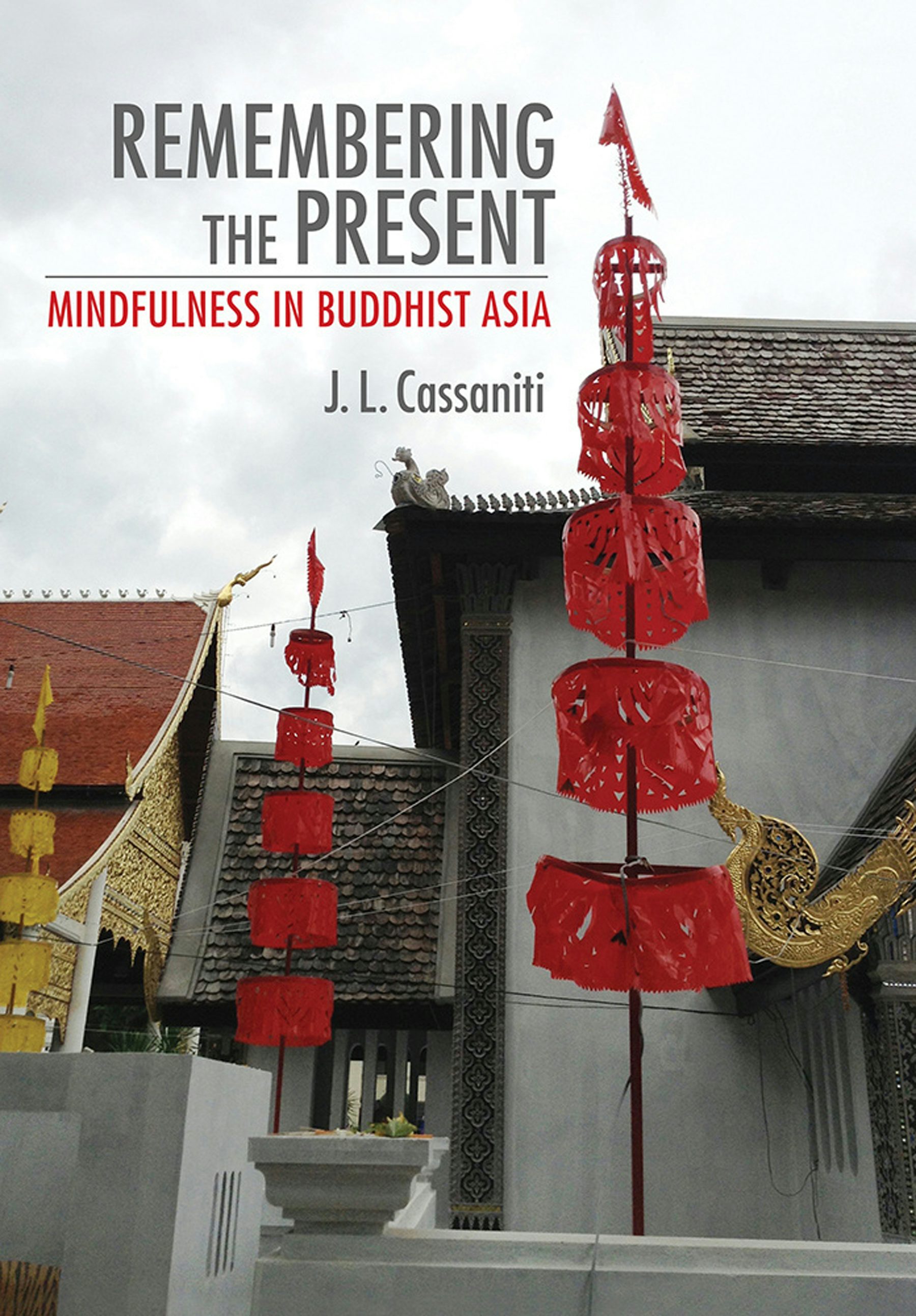 Remembering the Present by J. L. Cassaniti | Paperback