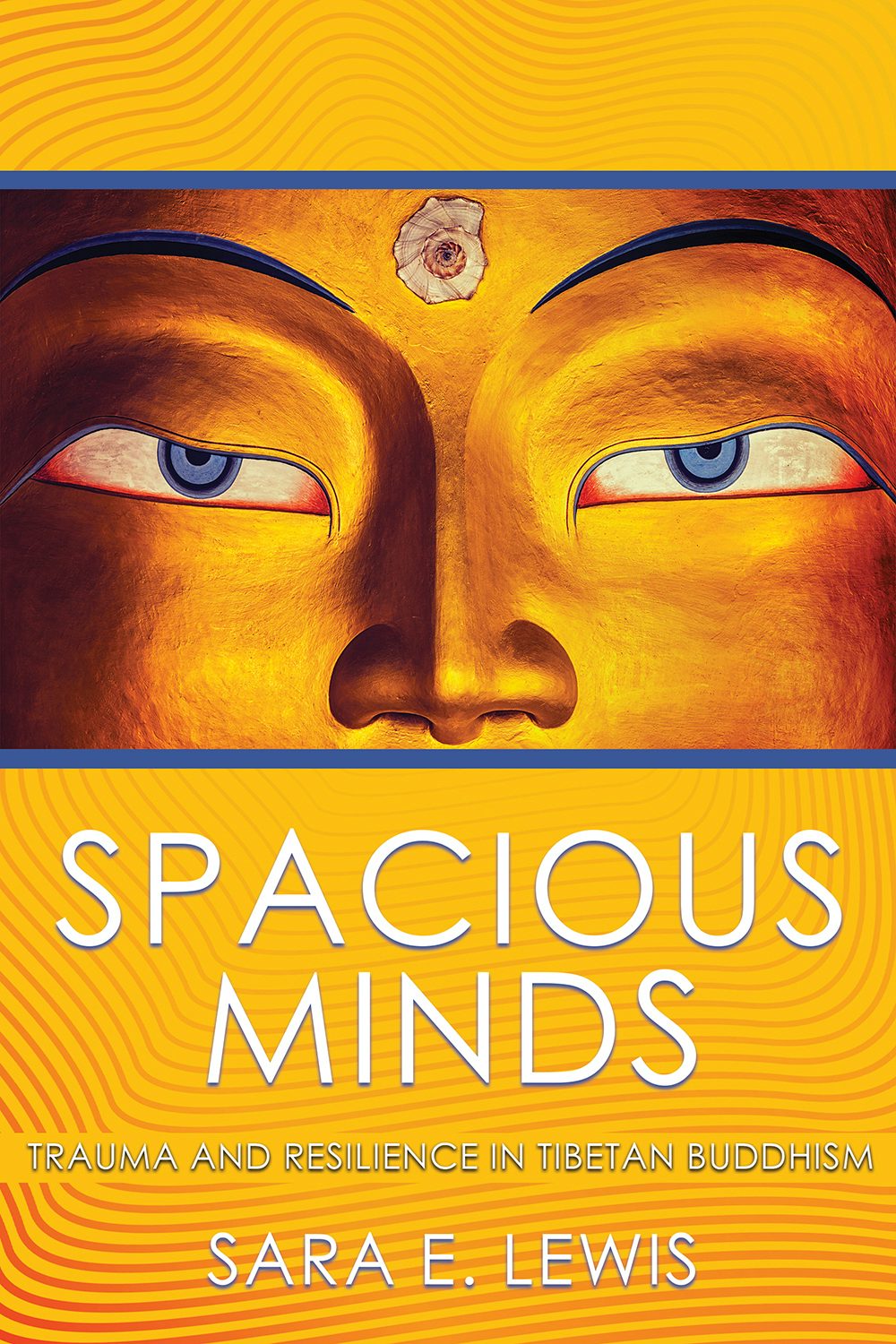 Spacious Minds by Sara E. Lewis | Paperback | Cornell University Press
