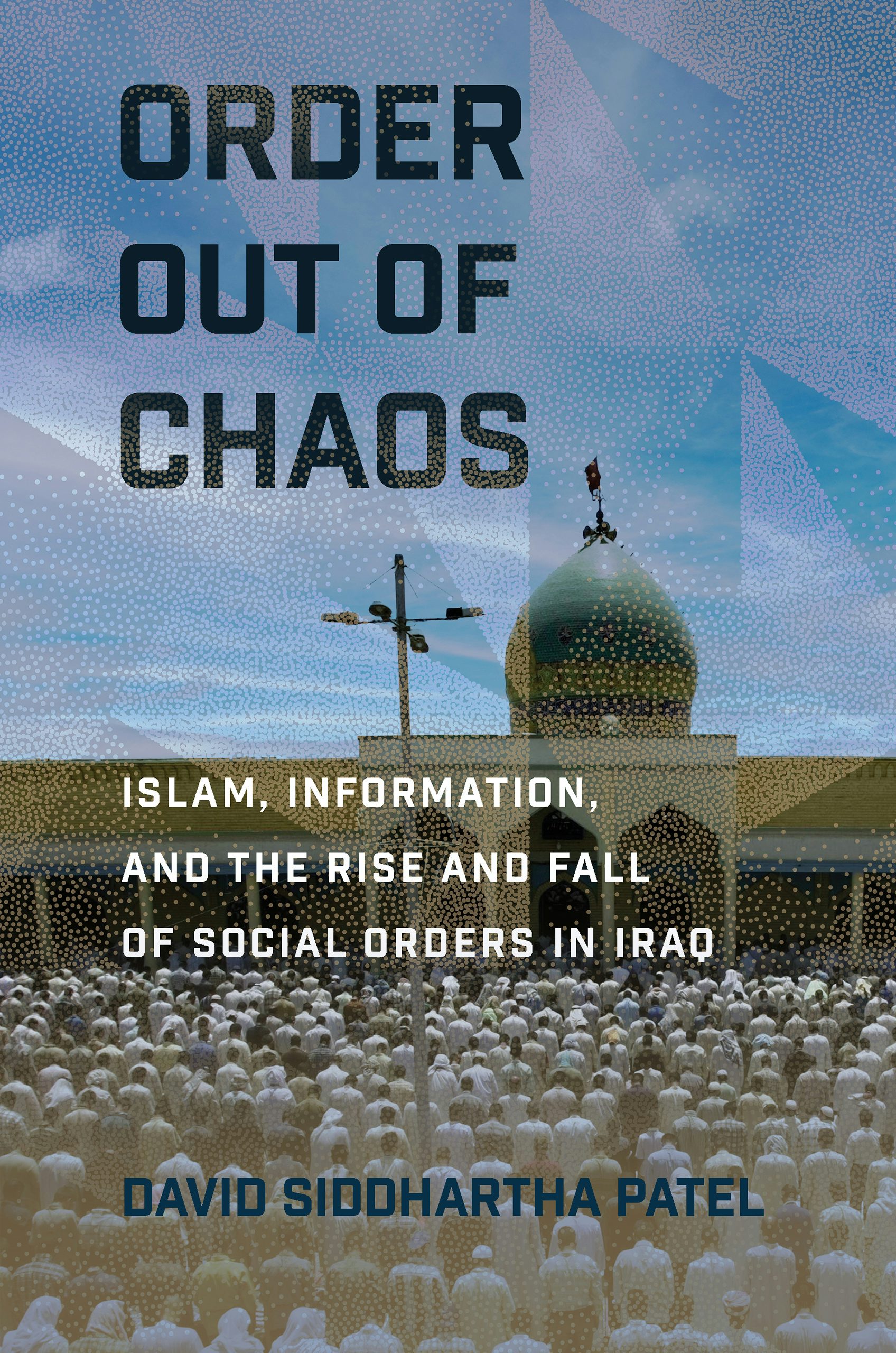 Order out of Chaos by David Siddhartha Patel | Hardcover | Cornell