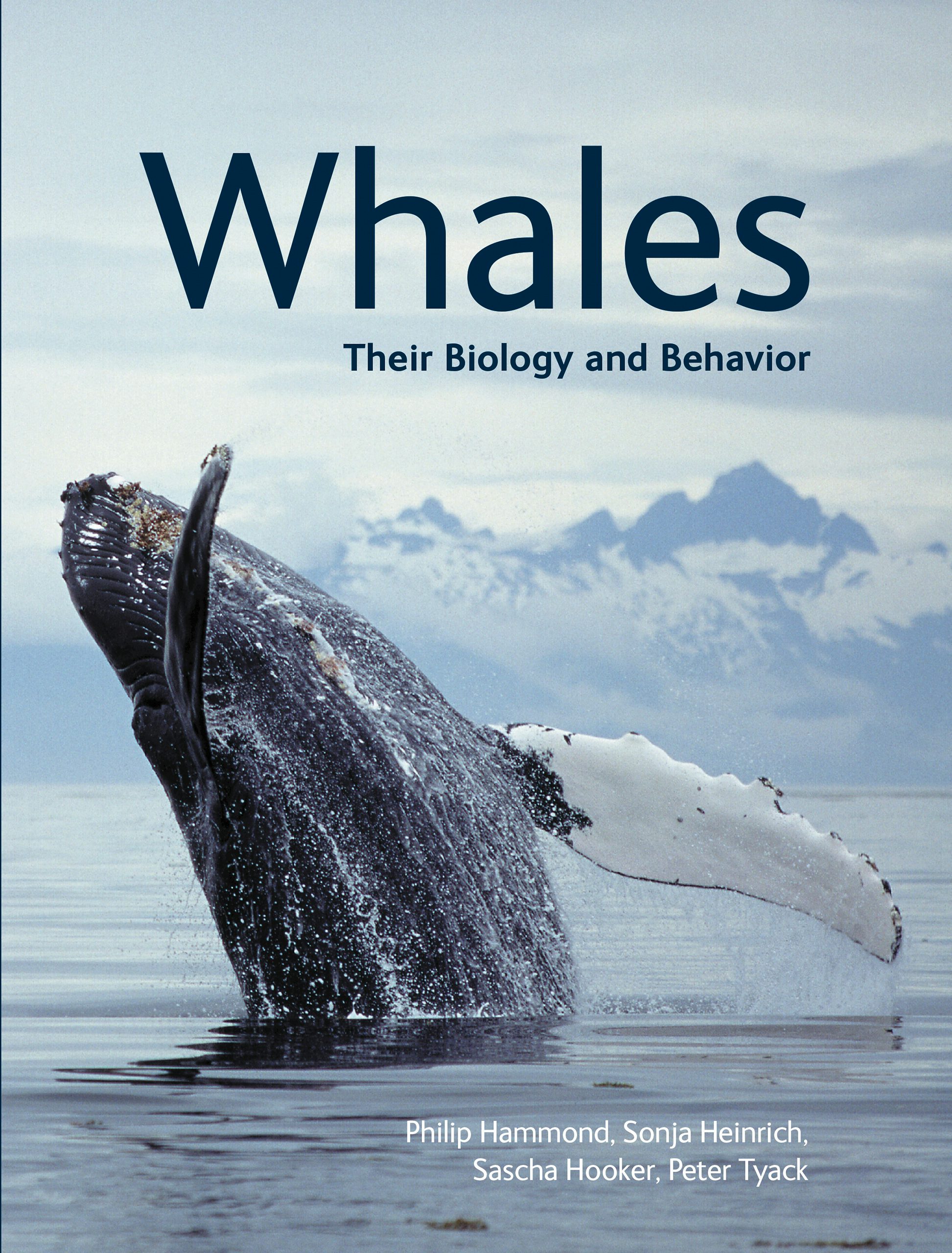 Whales by Phillip Hammond, Sonja Heinrich, Sascha Hooker, and