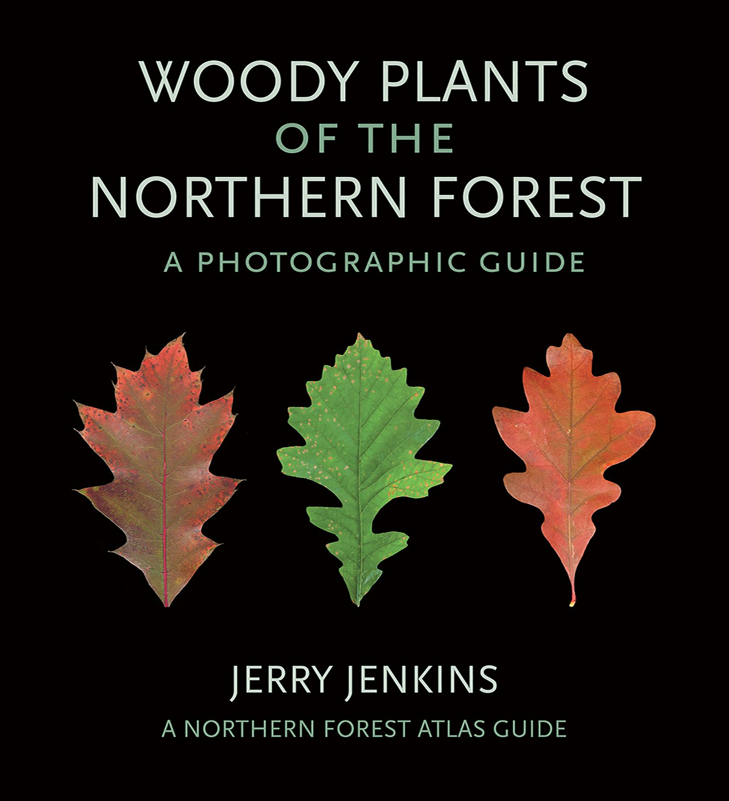 Woody Plants of the Northern Forest by Jerry Jenkins | Paperback