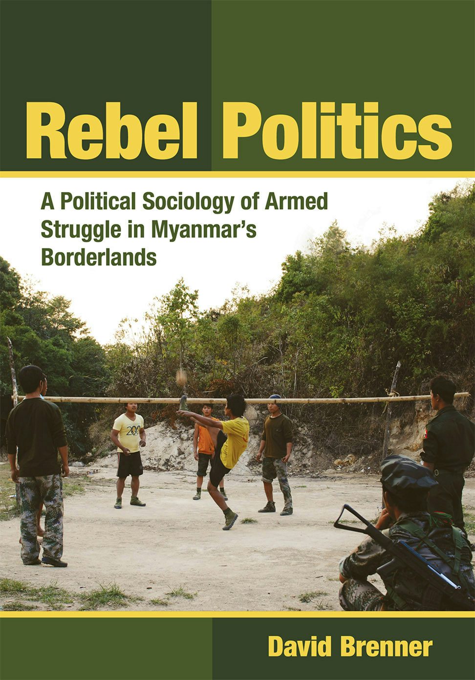 Rebel Politics by David Brenner | Hardcover | Cornell University Press