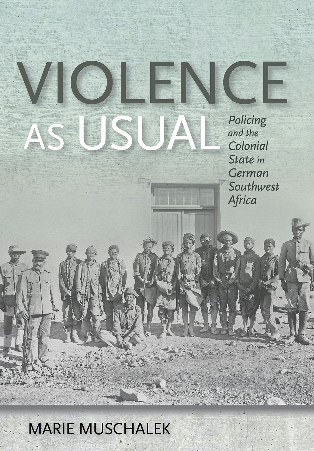 Violence as Usual by Marie Muschalek | Hardcover | Cornell