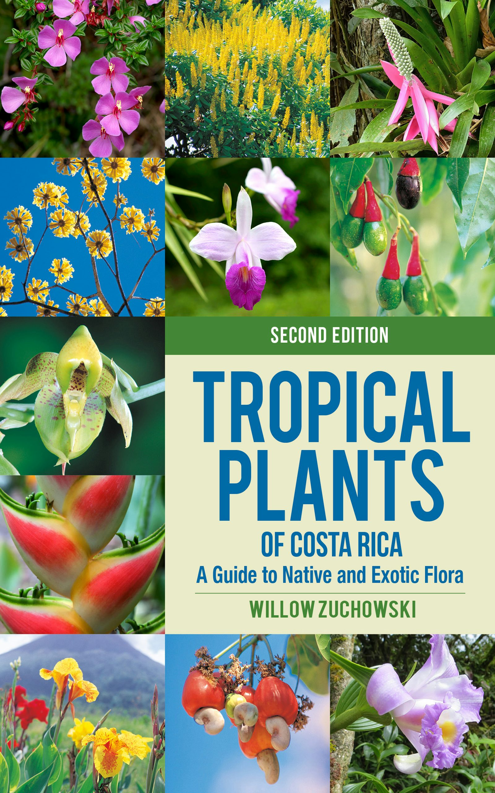 洋書 TROPICA: Exotic Plants and Trees 洋書 TROPICA: Exotic Plants and Trees 洋書 TROPICA: Exotic Plants