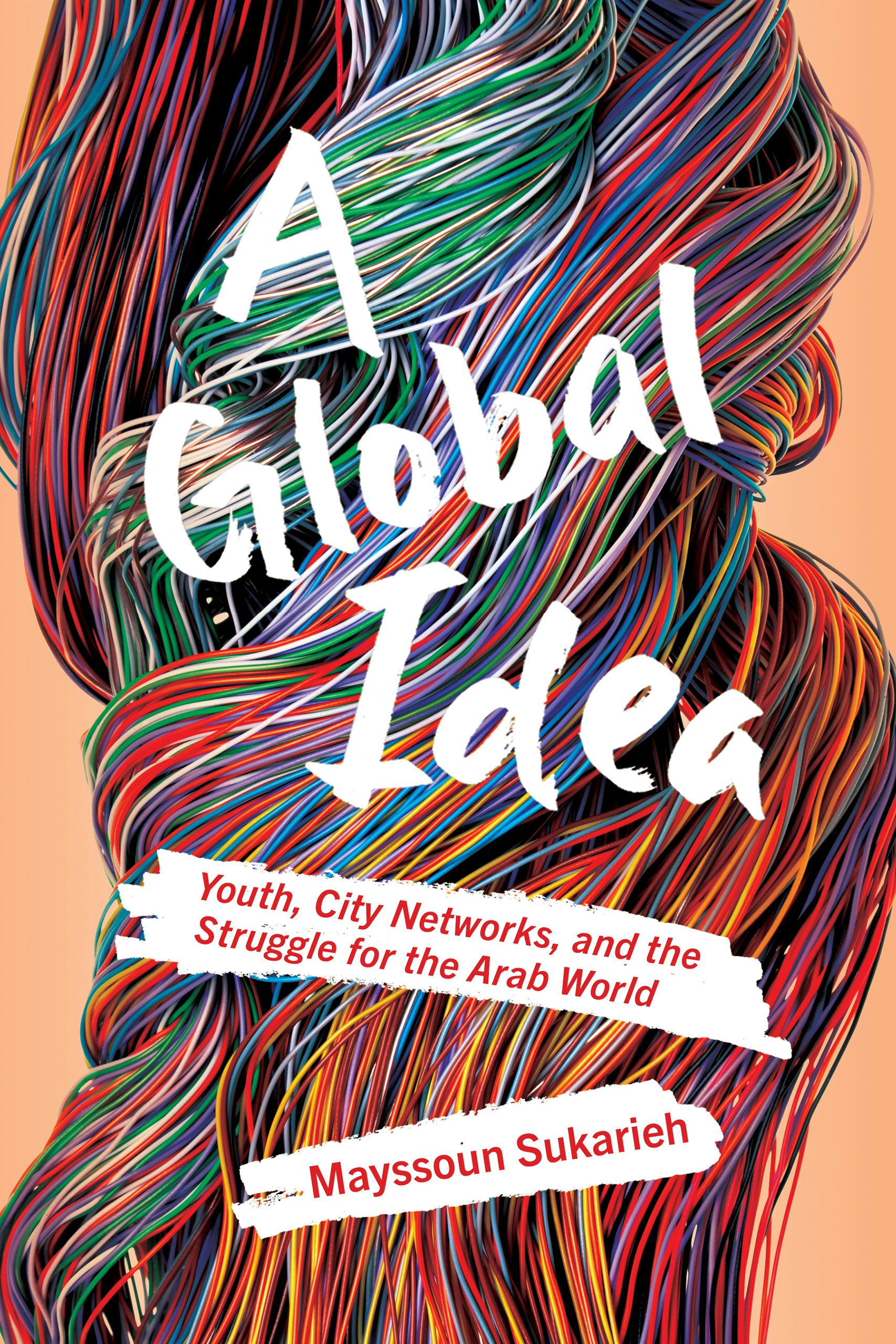 A Global Idea by Mayssoun Sukarieh | Paperback | Cornell