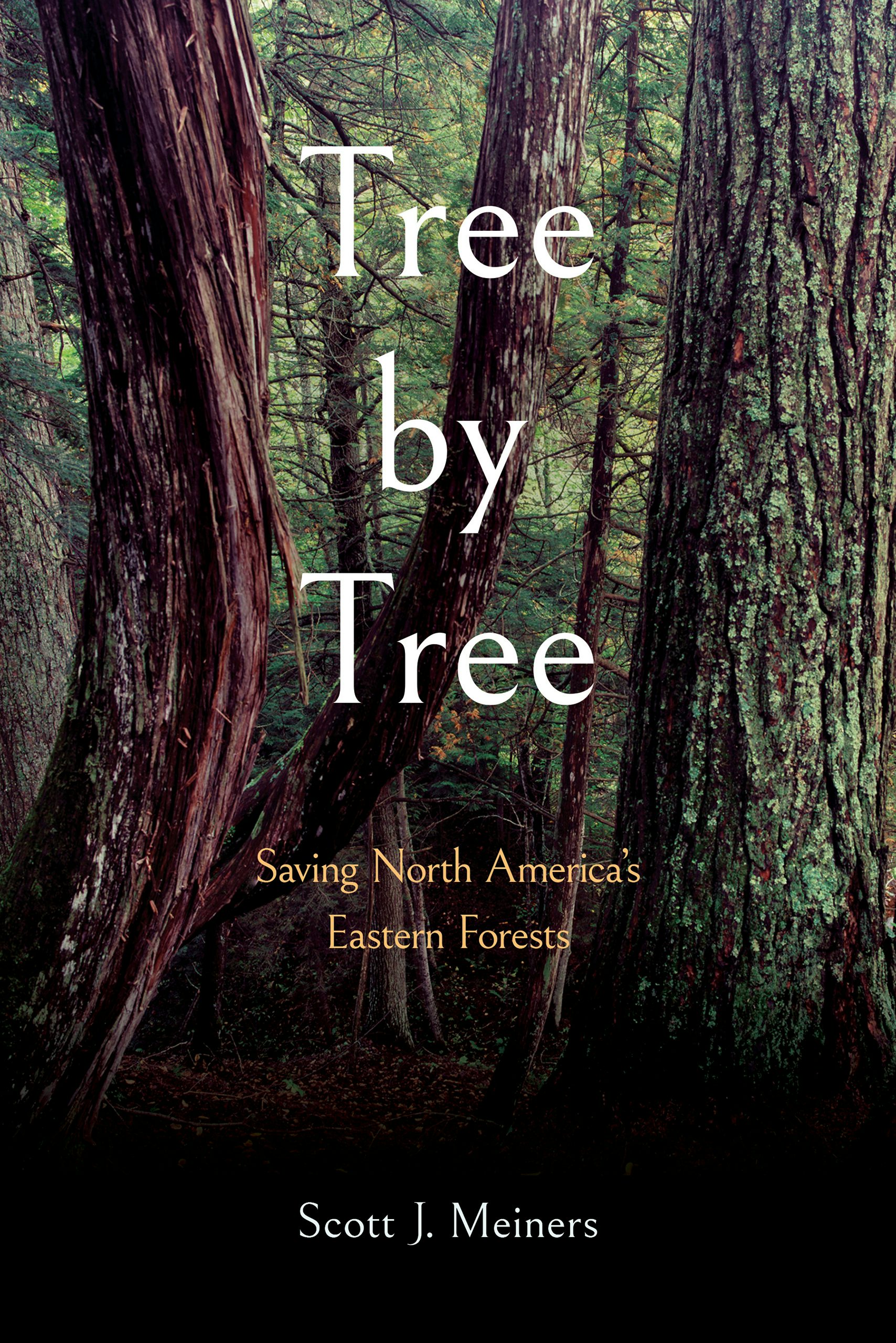 Tree by Tree by Scott J. Meiners | Paperback | Cornell University