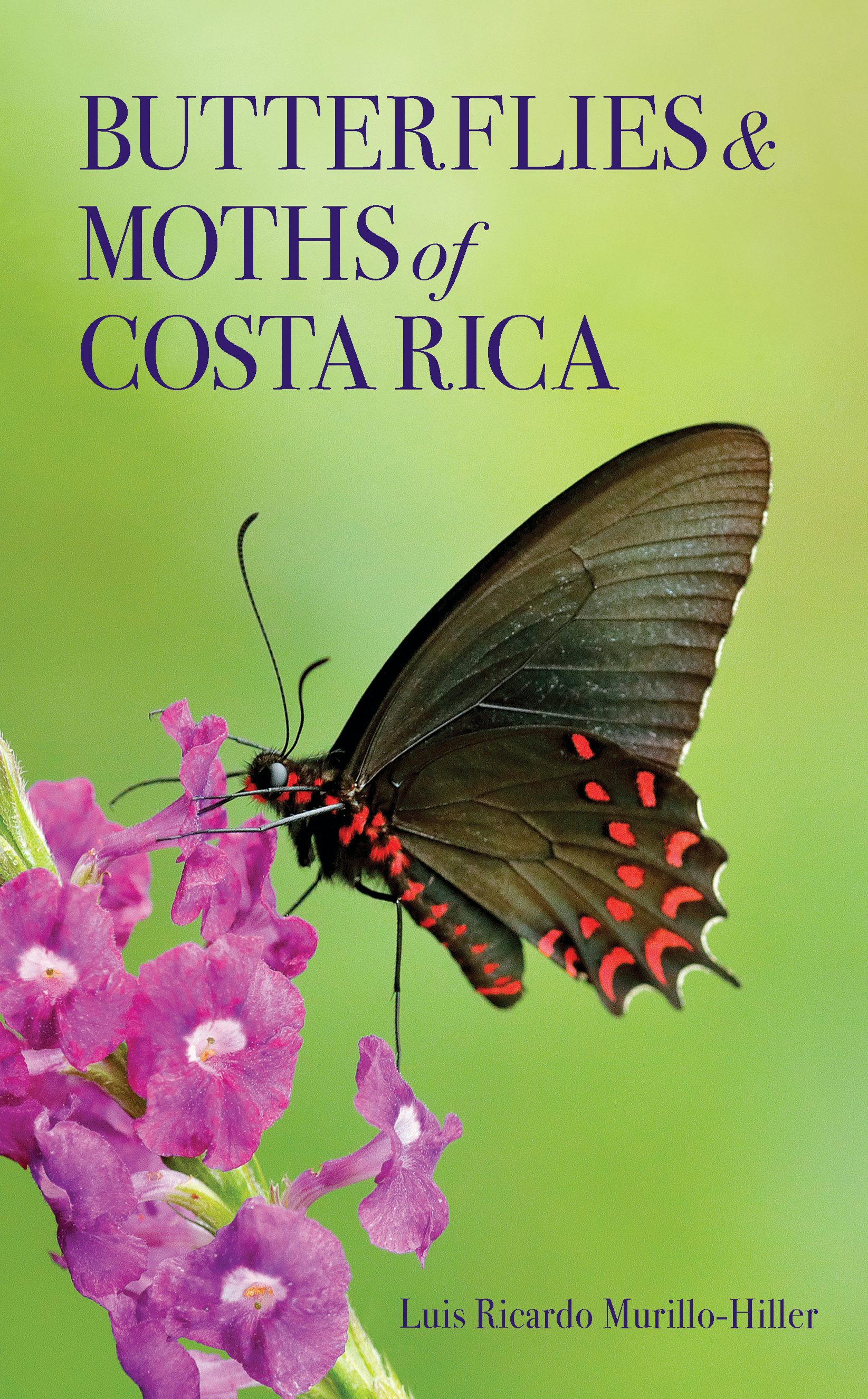Butterflies and Moths of Costa Rica by Luis Ricardo Murillo-Hiller