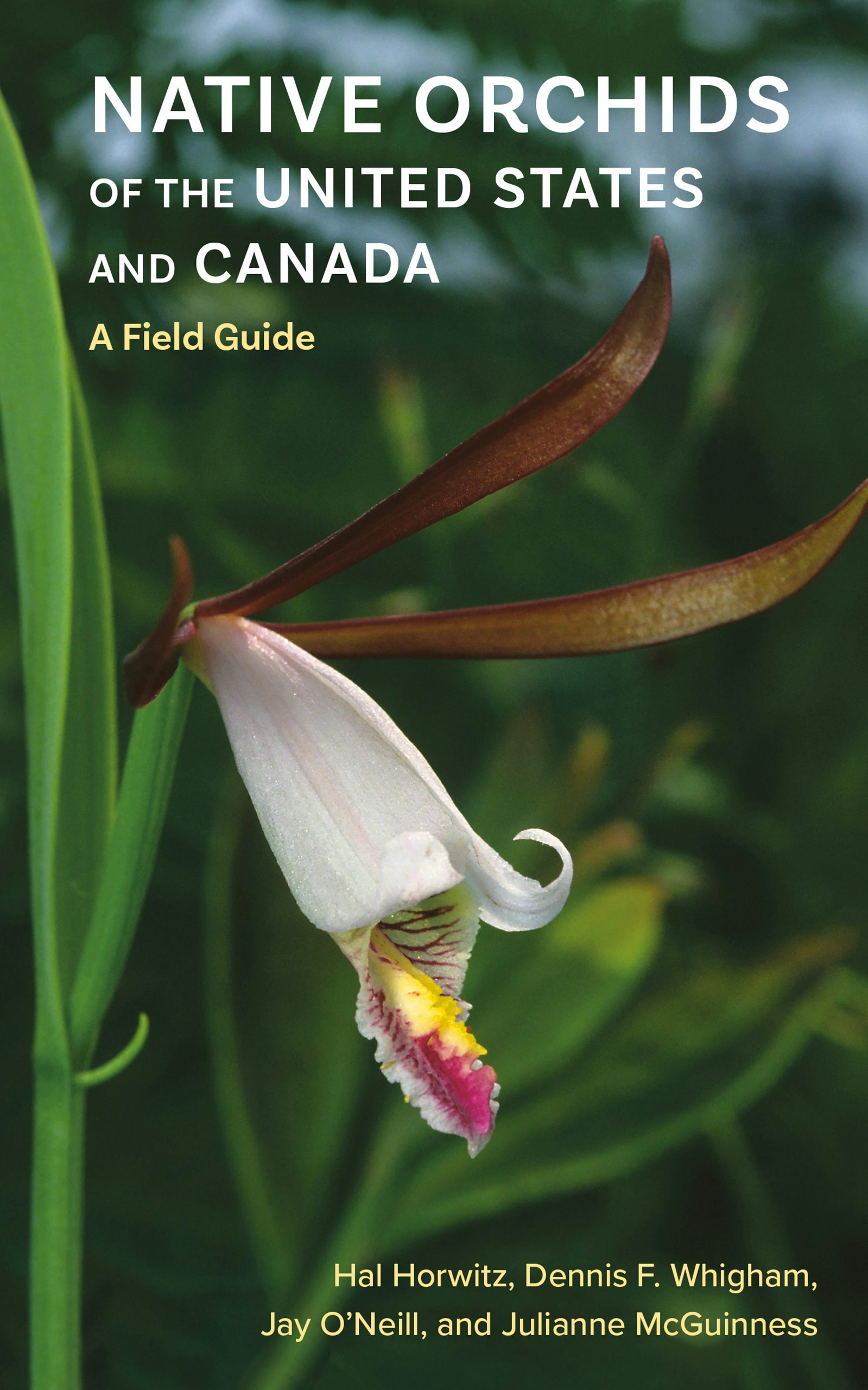 Native Orchids of the United States and Canada by Hal Horwitz